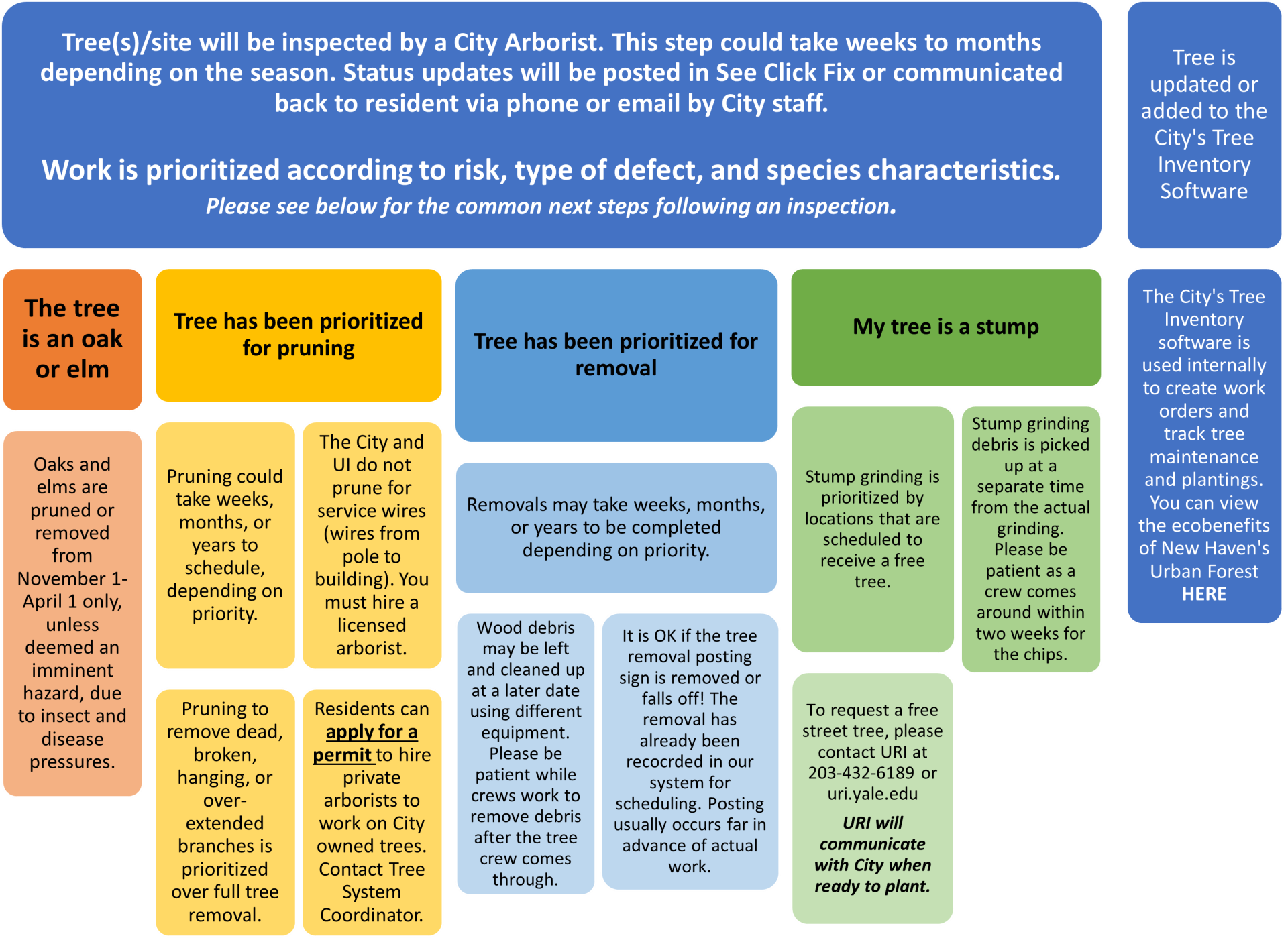 Tree System Graphic Chart