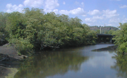 Fair Haven Greenway