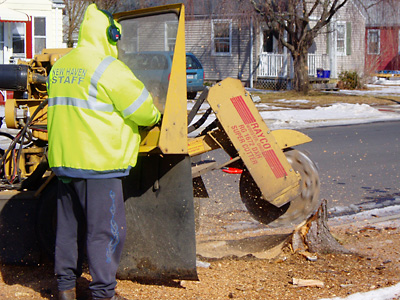 stump grind